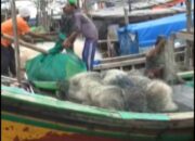 Nelayan Kuala Penet Keluhkan Jaring Pukat Harimau