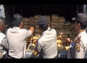 Pembawa 256 Paket Ganja Diciduk