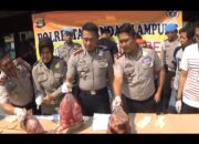Penyelundupan Dua Ton Daging Celeng Kembali Digagalkan