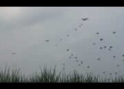 (Video) Komando Pasukan Angkatan Udara Serbu Wilayah Tubabar