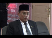 Daftar Cawagub, Dedi Aprizal Tanpa Izin DPP