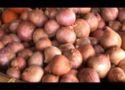 Harga Bawang Merah Masih Melangit