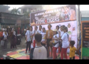 Selamatkan Populasi Harimau Sumatera