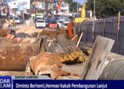 (Video) Diminta Berhenti, Herman Kukuh Pembangunan Lanjut