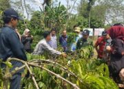 Pemprov Lampung Tinjau Lokasi Wisata Kopi