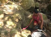 Gantungkan Hidup di Mata Air Bekas Galian