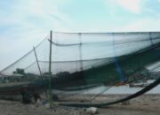 Trawl Merajalela, Nelayan Merana