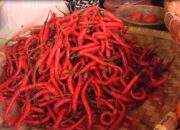 Cuaca Buruk, Harga Cabai Merangkak Naik