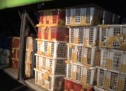 Angkut Burung, Bus AKAP Terjaring Razia