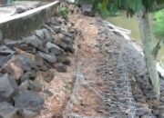 Proyek Bronjong Asal Jadi, Dewan Meradang