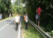 Cegah DBD Warga Gebyok Pekon