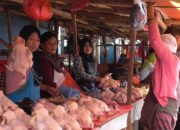 Permintaan Meningkat, Harga Ayam Potong Naik