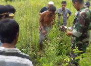 Tragis, Kasih Ibu Diujung Sawah