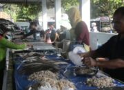 Cumi Melambung Tinggi, Wisata Sepi