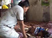 Kelvin, Tolong Bantu Saya