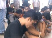 Sebulan 12 Tesangka Narkoba Digulung