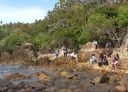 Pantai Tapak Kera Surga Tersembunyi di Kalianda