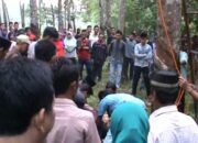 Perjaka Tewas Tergantung di Pohon Karet