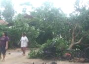 Angin Kencang, Warga Tewas Tersambar Petir