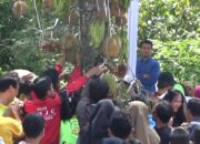 2018 Durian Hasil Hutan Dibagikan
