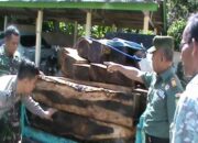TNI Amankan Kayu Ilegal, Tersangka Kabur Saat Penggerebekan
