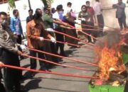 Puluhan Kilo Narkoba Dimusnahkan