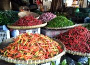 Gagal Panen, Harga Cabai Merangkak Naik