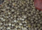 Rezim Pengimpor Pangan Berlanjut