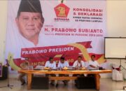 Klaim Dapat Koalisi, Prabowo Timang 5 Cawapres