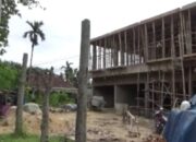 Tebang Pohon, Pemilik Ruko Dituntut Ganti