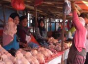 Harga Telur Menggila, Disdag Memble