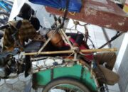 Karyawan Minimarket Temukan Kakek Tewas di Bentor