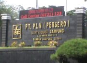 Catat Janji PLN, Lebaran Bebas Padam