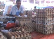 Stok Kosong, Telur Ayam Dijual Rp 50.000