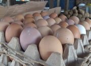 Harga Telur Merangkak Naik, Omzet Menurun