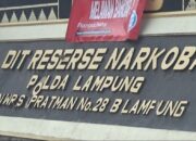 Madat, Legislator Way Kanan Diciduk