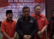 Cukong Bajak Demokrasi Lampung