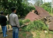 “Gajah Vs Manusia” Pemprov Siapkan CRU