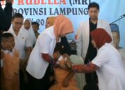 Vaksin MR, Mengandung Babi dan Organ Manusia