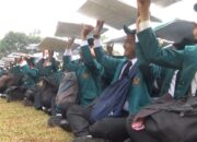 Paper Mob Unila, Ratusan Mahasiswa Baru Kolaps