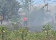 Panik, Kobaran Api Dekati Pemukiman