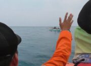 Dilarang, Nelayan Nekat Cari Ikan di GAK