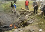 500 Kilogram Daging Celeng Ilegal Dibakar