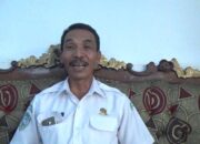 Gempa Lombok, Sudah 98 Tewas Lacak Warga Lampung