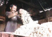 Dolar Gebuk Rupiah, Perajin Menjerit Tempe Diperkecil