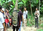 Tangkap Pembunuh Caleg, Polisi Sisir Gunung