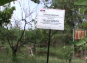 Zainudin Hasan Tersangka TPPU