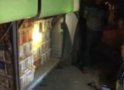 Hukum Lemah, Perburuan Satwa Dilindungi Marak