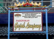 Lifter Muda Lampung Berlaga Dikancah Dunia