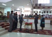 Pindah Partai, Dewan di PAW